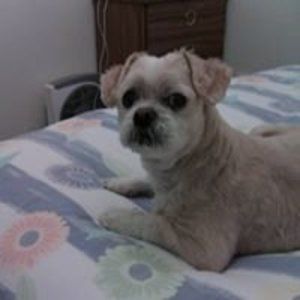 Meet your Posher, Penny